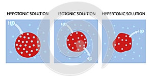 Hypotonic, Isotonic and Hypertonic solutions vector. Tonicity and osmosis