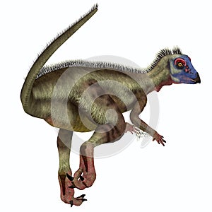 Hypsilophodon Dinosaur Tail