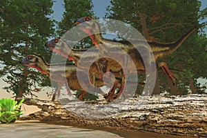 Hypsilophodon Dinosaurs