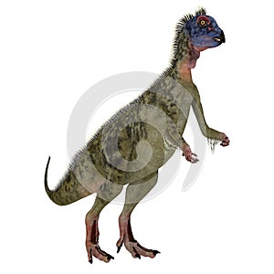 Cretaceous Hypsilophodon Feathered Dinosaur that lived in England photo