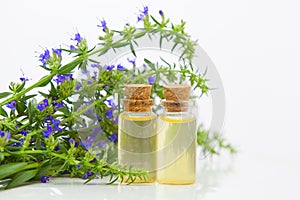 Hyssop essential oil in  beautiful bottle on White background