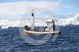 HÃÂºsavÃÂ­k Whale watching boat