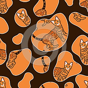 Funny Bengal cat seamless pattern background. Cartoon orange tabby spotted cat kitten background. Hand drawn childish vector photo