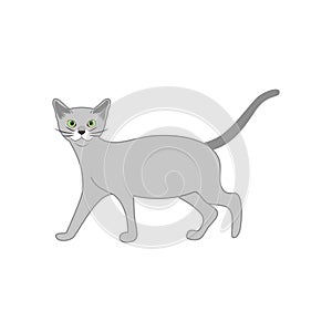 Russian Blue cat isolate on white background. Cartoon cat kitten icon vector. Hand drawn childish vector illustration.