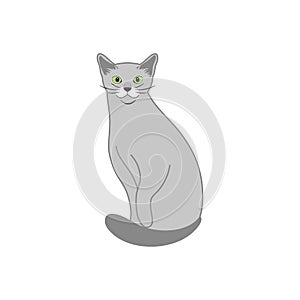 Russian Blue cat sitting isolate on white background. Cartoon cat kitten icon vector. Hand drawn childish vector illustration.