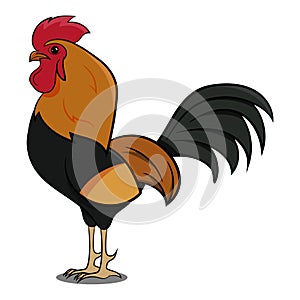 Chicken Rooster Farm Animals. Farm Bird. Farm Bird Illustration for Children Book photo