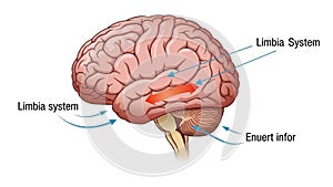 I-generated graphic. The overall design is educational with a