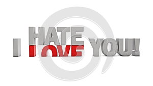 I Hate You & I Love You photo