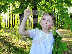 I have an idea. A handsome positive young boy raises his hand and points his index finger up as a sign that some bright idea.