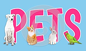 I Heart Pets