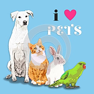 I Heart Pets