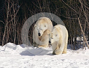 I AM HERE IF U NEED ME