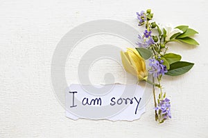 I i am sorry message card handwriting with ylang flower