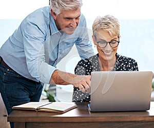 I like what youve done here. a mature couple using a laptop at home.