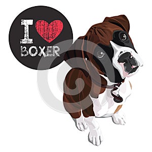 I Love Boxer