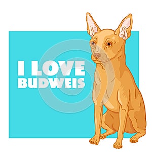 I love Budweis