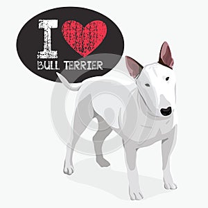 I Love Bull Terrier