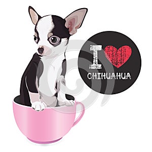 I Love Chihuahua