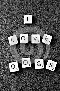 I love dogs