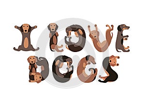 I love dogs. Vector letters of dachshund dogs.