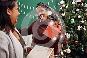 I love the gift, but I love you even more. two happy young women exchanging gifts during Christmas at home.