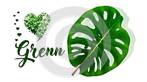 I love green IlustraÃ§Ã£o