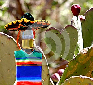 I love Mexico.  Beer bottle and prickly pear cactus heart.