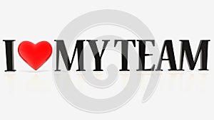 I love my team concept