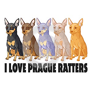 I love prague ratters