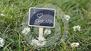 I love spring