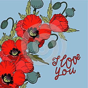 I love you, bouquet of Red Poppy flowers, hand drawing lettering, template of cards, vector