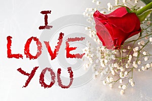 I Love You Gift Card,Red Rose Flower,