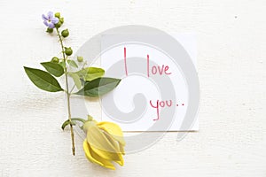 I love you message card handwriting with ylang flower