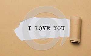 I love you on torn paper background love and valentine concept