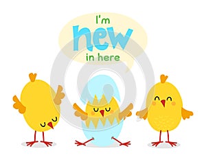 I`m new in here - cute chicks and hatching chick with eggshell.