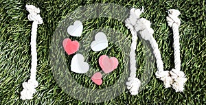 I and N letters and three paper heart cut outs on grass.