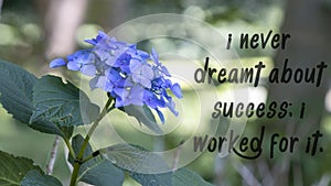 I never dreamt about success. I worked for it. success slogans