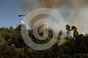 I-RUFA Eurocopter AS 350B3 Firefighter, dropping water in a Forest Fire during Day in Povoa de Lanhoso.