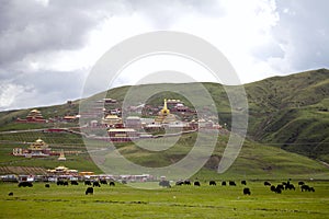 Various stupas of tibetan buddhist photo