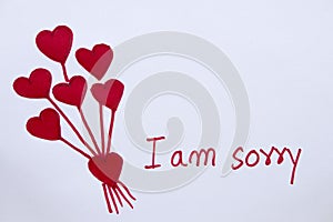 I am sorry message card with draw red heart