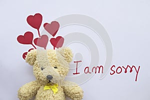 I am sorry message card with draw red heart