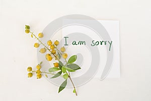 I am sorry message card and grain flowers