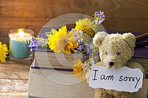 I am sorry message card handwriting with book ,teddy bear