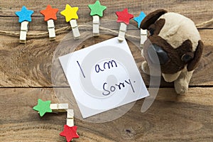 I am sorry message card handwriting with colorful wooden star clips ,dog toy