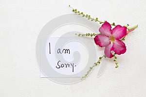 I am Sorry message card handwriting in envelope