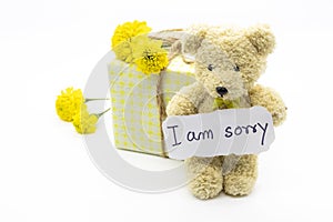 I am sorry message card handwriting with gift box, teddy bear