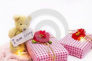 I am sorry message card handwriting with gift box, teddy bear