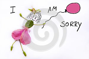 I am sorry message card handwriting with petals flowers hibiscus