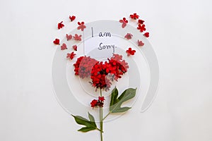 I am sorry message card handwriting with red flowers rubiaceae