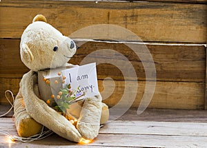 I am sorry message card handwriting with teddy bear holding gift box decoration postcard style